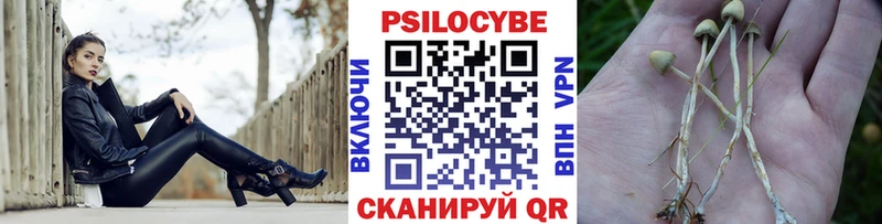 цены наркотик Шенкурск Галлюциногенные грибы ЛСД
